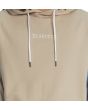 Hombre con sudadera de capucha DC Shoes Riot 2 beige bordado