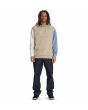 Hombre con sudadera de capucha DC Shoes Riot 2 beige frontal