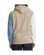 Hombre con sudadera de capucha DC Shoes Riot 2 beige espalda