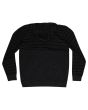 Sudadera con capucha DC Shoes Studley PH 211 en color negro para hombre posterior