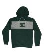 Sudadera con capucha DC Shoes Studley PH 211 en color verde para hombre
