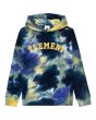 Sudadera con capucha Element College Youth Dark Magma para chico 8-16 años