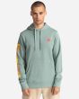 Hombre con Sudadera de capucha Element Kass Hood verde