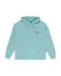 Sudadera orgánica con capucha Quiksilver Apog Heritage Turquesa para hombre