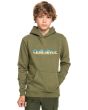 Niño con sudadera de capucha Quiksilver Primary Colours verde 