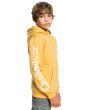 Niño con sudadera de capucha Quiksilver Stir it up amarilla lateral 