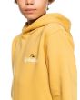 Niño con sudadera de capucha Quiksilver Stir it up amarilla logo