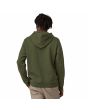 Hombre con Sudadera de capucha Patagonia P-6 Logo Uprisal Hoody Torrey Pine Green Unisex posterior