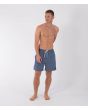 Hombre con Bañador Hurley Volley Flex Low Tide 17in Gris cintura elástica