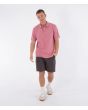 Hombre con Polo de manga corta Hurley Icon Beach Clay corte regular fit