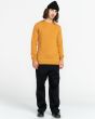 Hombre con jersey cerrado Element Brand Kayden amarillo completa