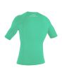 Licra juvenil O'Neill Youth Basic Skins SS Rash Guard Lightaqua posterior