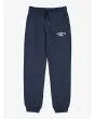 Pantalón de chándal Quiksilver Youth Slim Jogger Azul Marino Oscuro para chico 8-16 años