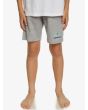 Niño con pantalón corto de chándal Quiksilver Easy Day Boy gris 