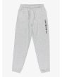 Pantalón de chándal Quiksilver Graphic Gris para chico 8-16 años