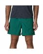Hombre con bañador Patagonia Baggies Shorts 5in 95 Oval Logo Verde