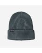 Gorro Patagonia Fisherman's Rolled Beanie gris Unisex