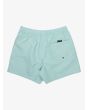 Short de natación Quiksilver Everyday Deluxe Volley 15 Aqua para hombre posterior