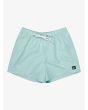 Short de natación Quiksilver Everyday Deluxe Volley 15 Aqua para hombre