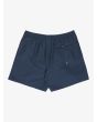 Bañador Quiksilver Everyday Deluxe Volley 15in Dark Navy para hombre posterior