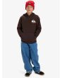 Niño con sudadera de capucha Quiksilver Youth Omni Logo Marrón corte regular