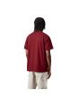 Hombre con camiseta Carhartt WIP Chase Escarlata-Dorado posterior
