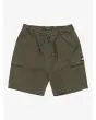 Pantalón Corto Cargo Quiksilver Youth Taxer Grape Leaf para niño 8-16 años