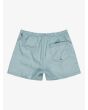 Short de natación Quiksilver Everyday Deluxe Volley 15'' Teal Green Verde para hombre posterior