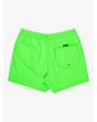 Boardshort Quiksilver Everyday Solid Volley 15'' Green Gecko para hombre posterior