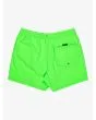 Boardshort Quiksilver Everyday Solid Volley 15'' Green Gecko para hombre posterior