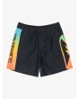 Short de natación Quiksilver Everyday Holmes Volley 14'' Black Holmes para chico 8-16 años
