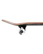 Skate Completo Birdhouse Stage 3 Hawk Pterodactyl 7.5" negro rueda
