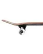 Skate Completo Birdhouse Stage 3 Hawk Pterodactyl 7.5" negro rueda