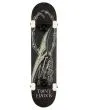 Skate Completo Birdhouse Stage 3 Hawk Pterodactyl 7.5" negro