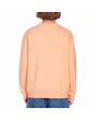 Hombre con Sudadera Volcom Guano Crew Peach Bud posterior