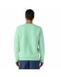 Hombre con Sudadera Patagonia Fitz Roy Icon Uprisal Rinsed Green posterior