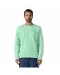 Hombre con Sudadera Patagonia Fitz Roy Icon Uprisal Rinsed Green