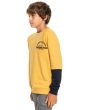 Niño con Sudadera sin capucha Quiksilver Open Spot amarilla lateral