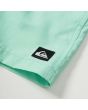 Bañador Volley Quiksilver Everyday 13" verde para niños de 8 a 16 años logo