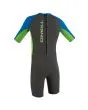 Traje de surf de primavera con manga corta y cremallera en la espalda O'Neill Toddler Reactor II 2mm en grafito, lima y azul para niños de 1 a 6 años posterior