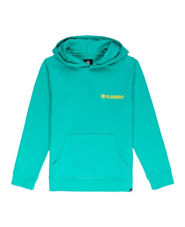 Sudadera con capucha Element Blazin Chest color turquesa para chico