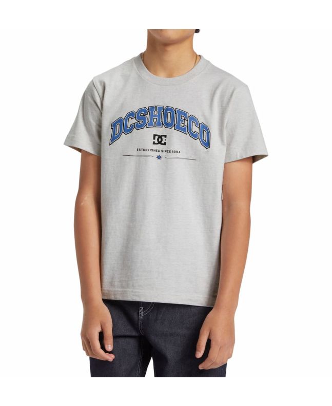 Niño con Camiseta de manga corta Dc Shoes Orientation Gris