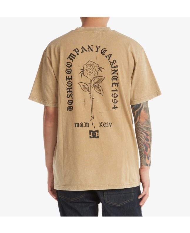 Hombre con camiseta de Manga Corta DC Shoes Reach For It marrón claro