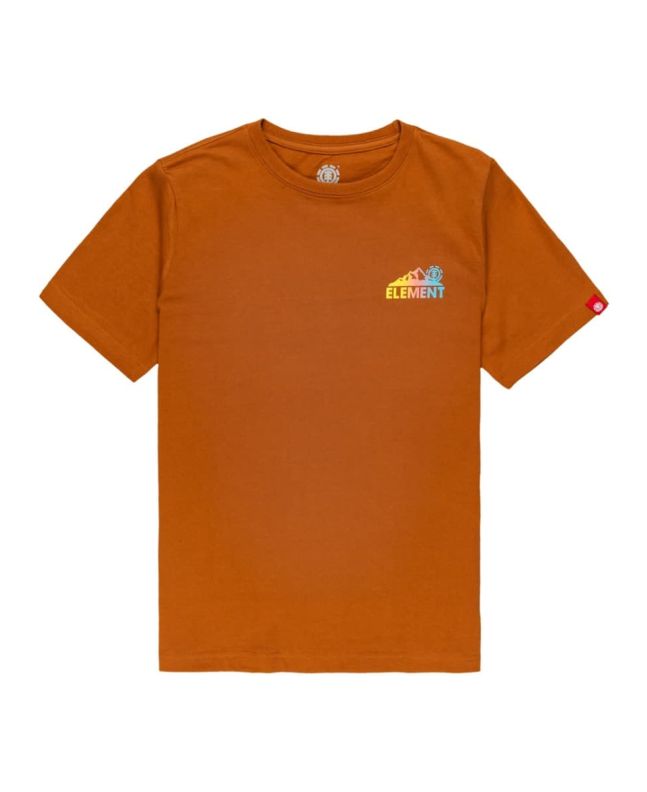 Camiseta de manga corta Element Brand Malta naranja para niños de 8 a 16 años