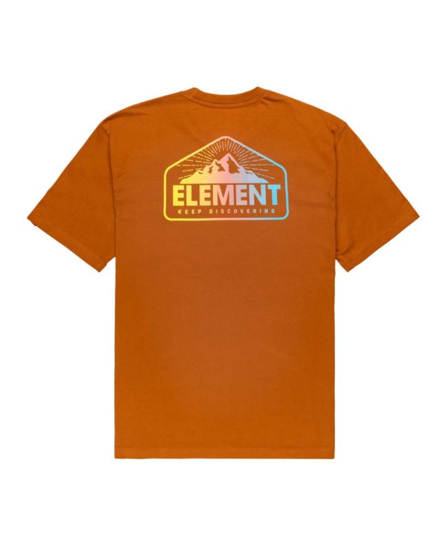 Camiseta de manga corta Element Brand Malta naranja para hombre
