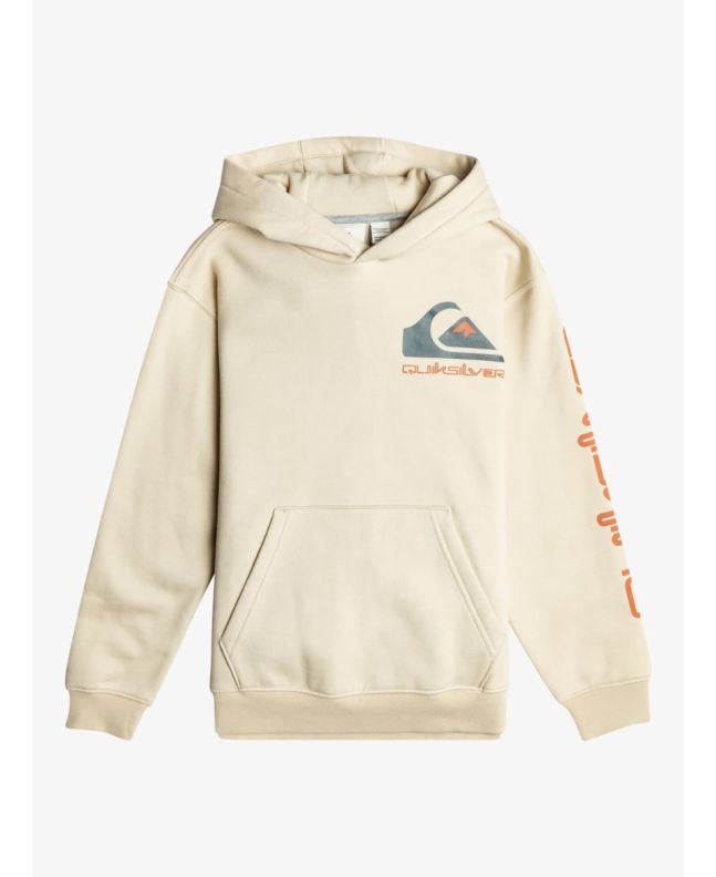 Sudadera polar con capucha Quiksilver Omni Logo Youth beige para niños de 8 a 16 años