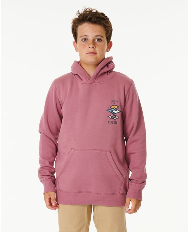 Niño con sudadera de capucha Rip Curl Search Icon Youth Mauve
