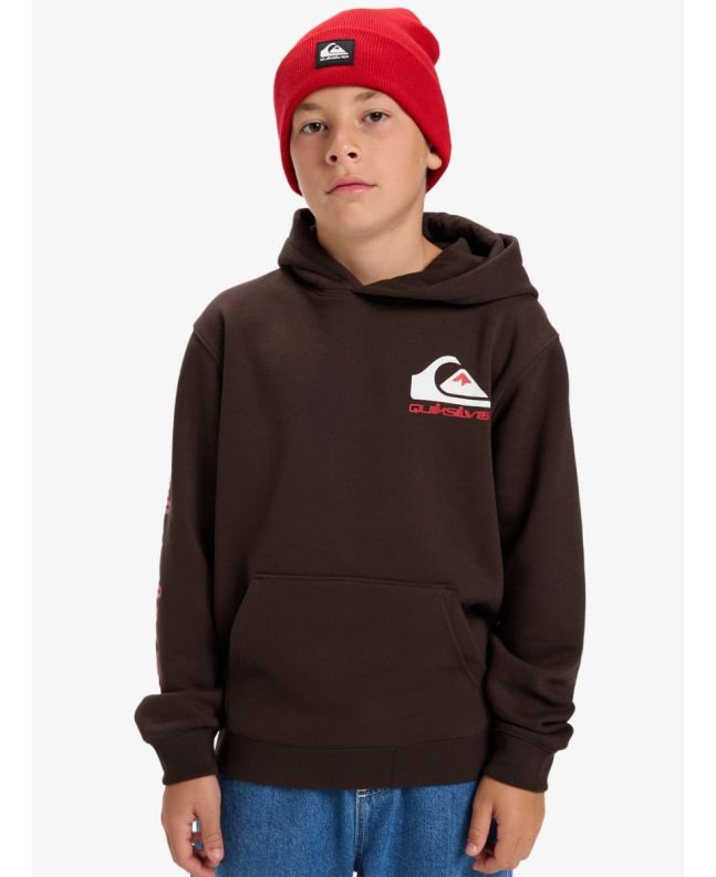 Niño con sudadera de capucha Quiksilver Youth Omni Logo Marrón