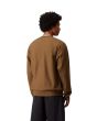 Hombre con sudadera básica Carhartt WIP American Script Sweatshirt Marrón Hamilton posterior