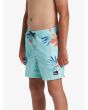 Niño con Bañador Quiksilver Youth Everyday Mix Volley 14'' Azul Celeste Tropical cintura